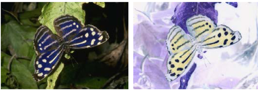 image-20221203170304940